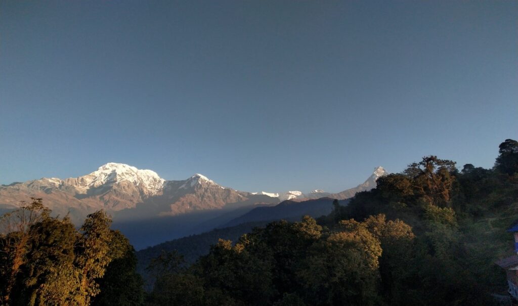 Trek Image 4