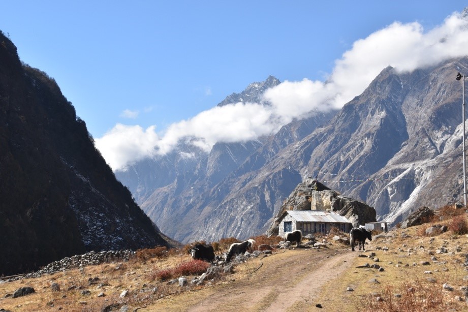 Trek Image 5