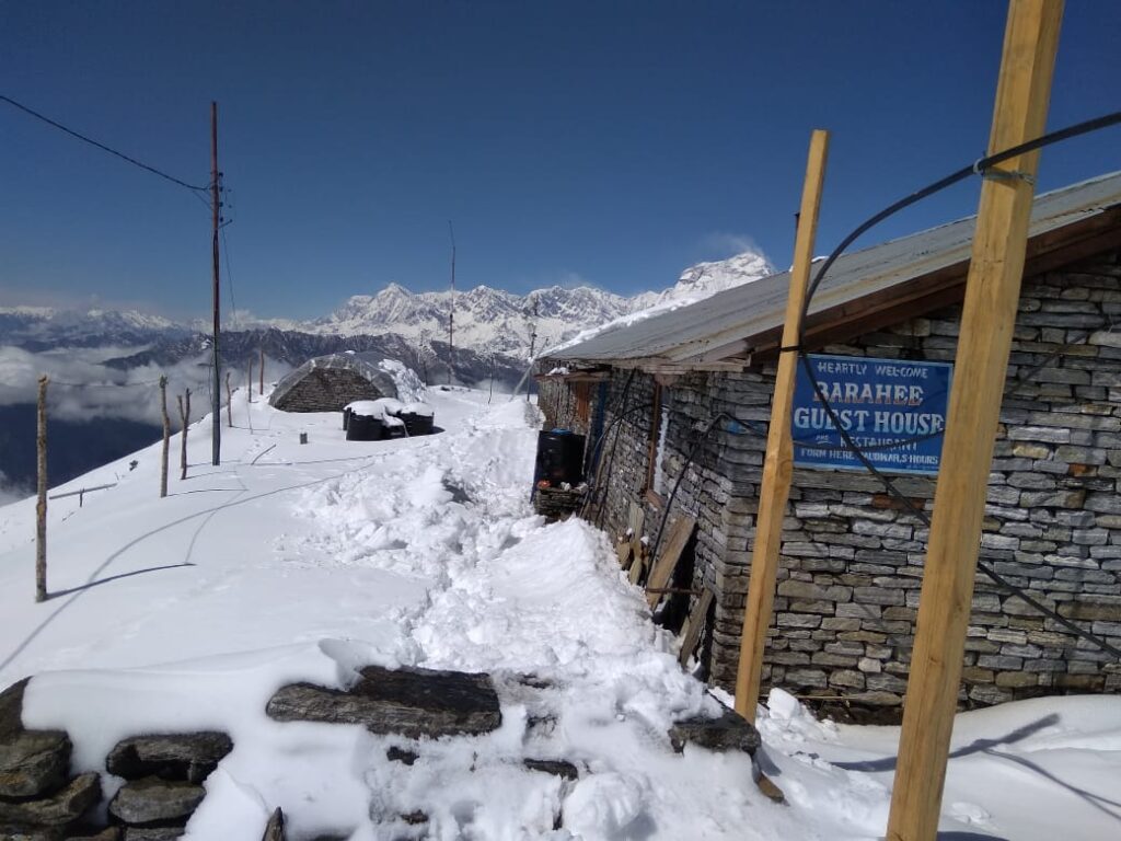 Trek Image 5