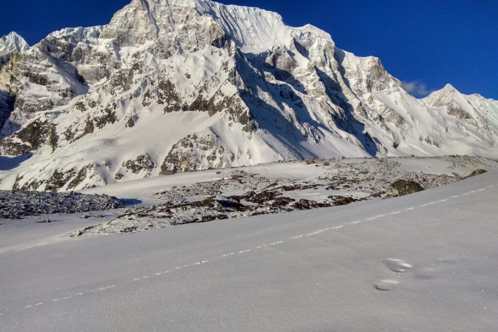 Trek Image 6
