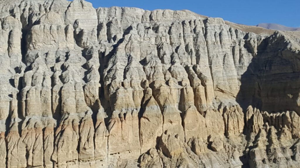 Trek Image 6