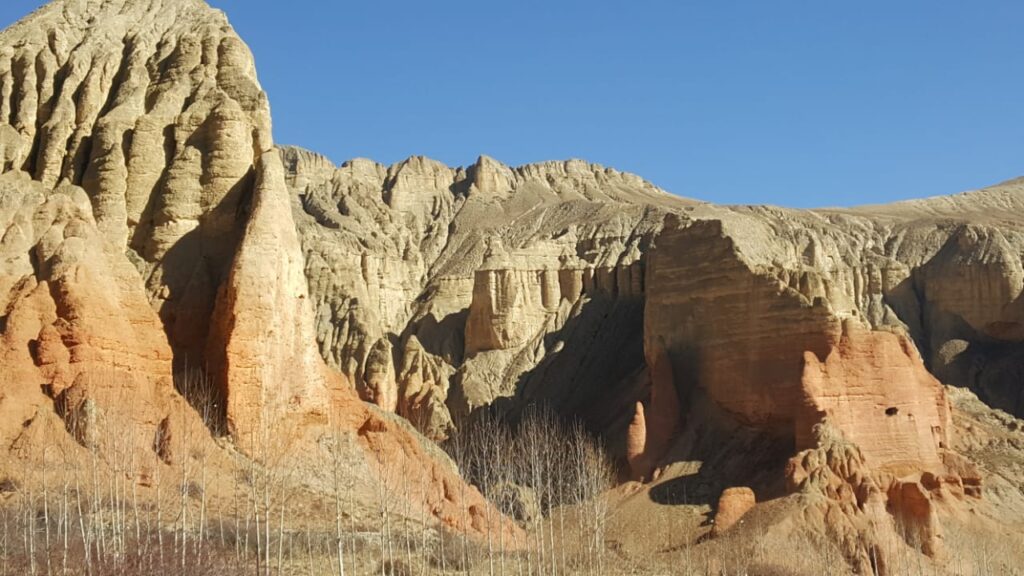 Trek Image 4
