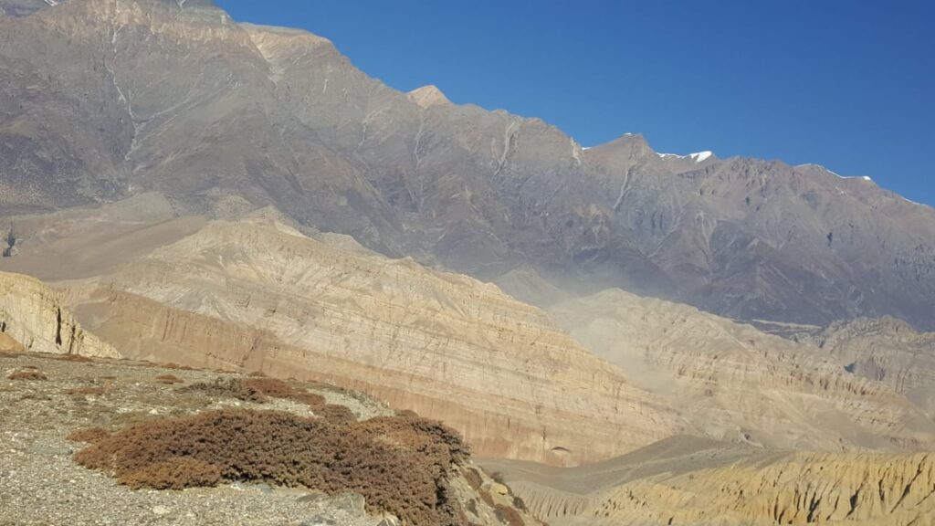 Trek Image 3